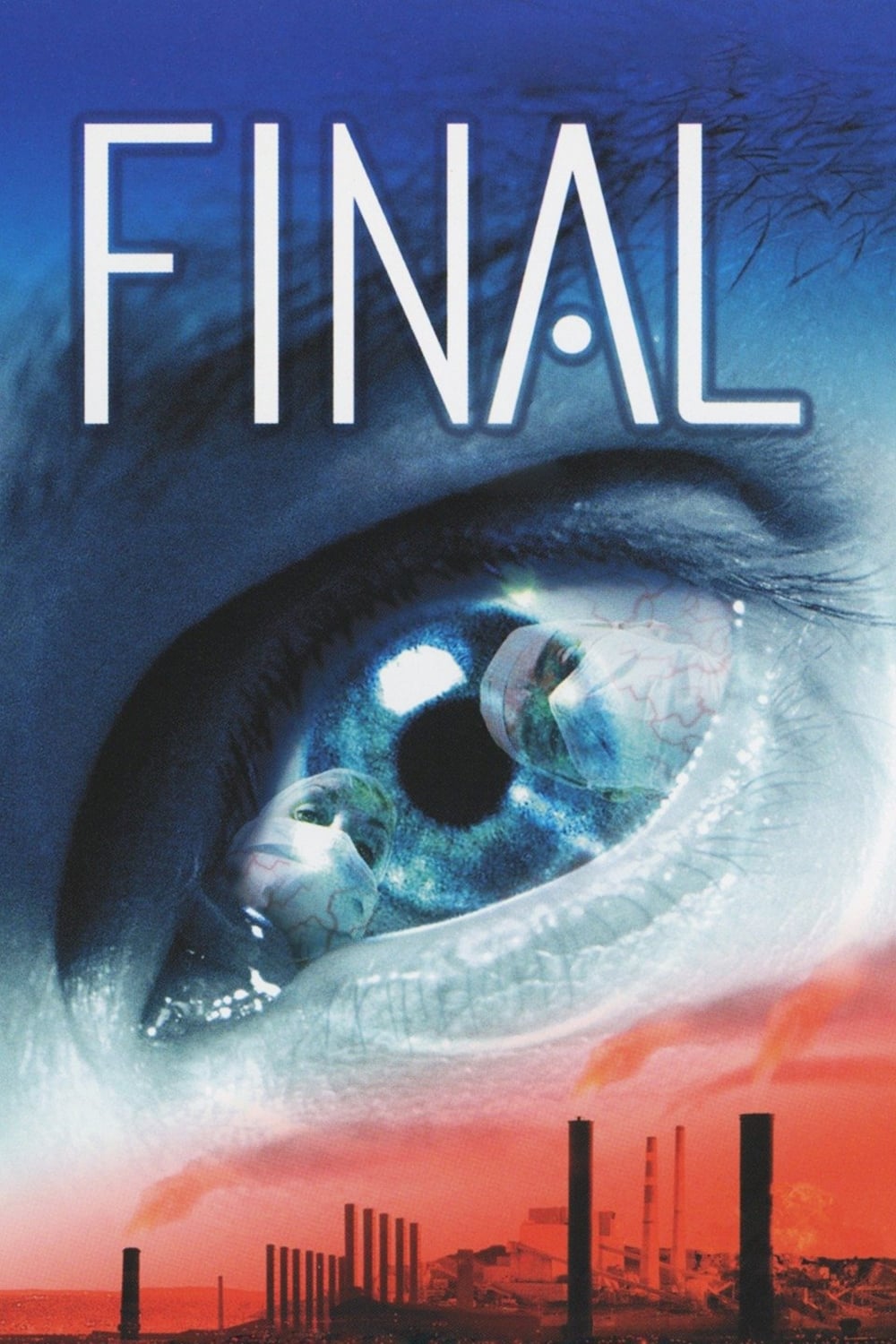 Постер Final